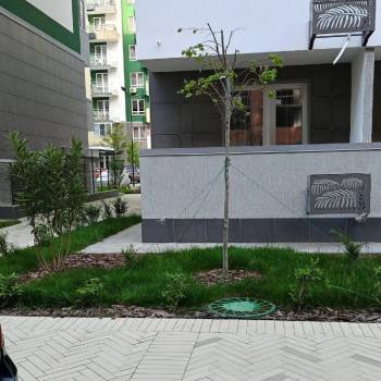 Сдается 1-комнатная квартира, 23,5 м²