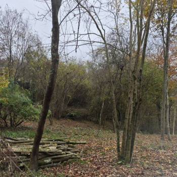 Продается Участок, 700 м²