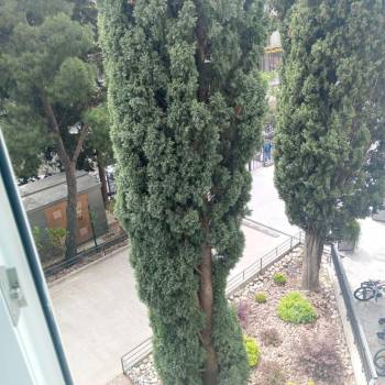 Продается 2-х комнатная квартира, 51 м²