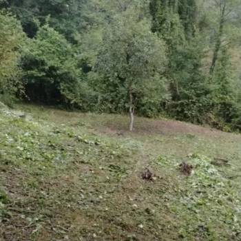 Продается Участок, 600 м²