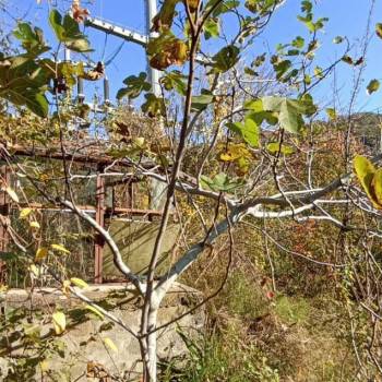 Продается Участок, 2000 м²