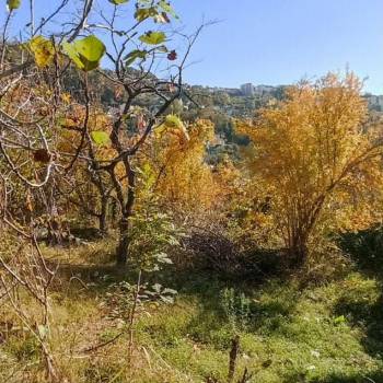 Продается Участок, 2000 м²