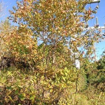 Продается Участок, 2000 м²