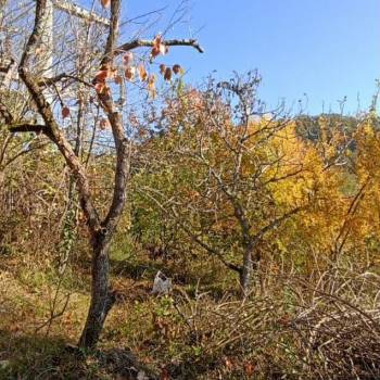 Продается Участок, 2000 м²