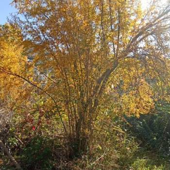 Продается Участок, 2000 м²