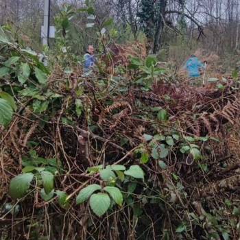 Продается Участок, 400 м²