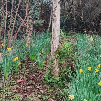 Продается Участок, 400 м²