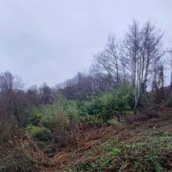 Продается Участок, 400 м²