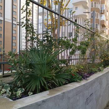 Сдается Многокомнатная квартира, 70 м²