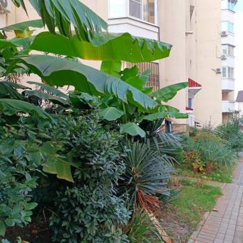 Сдается Многокомнатная квартира, 70 м²