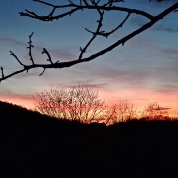 Продается Участок, 460 м²