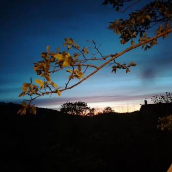 Продается Участок, 460 м²