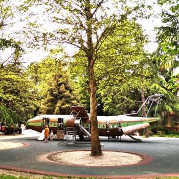 Сдается 2-х комнатная квартира, 34 м²