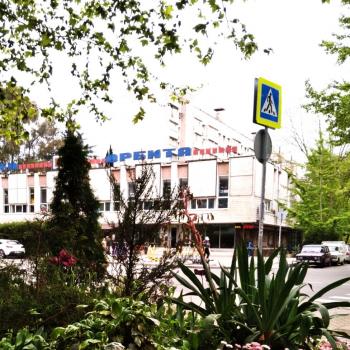 Сдается 2-х комнатная квартира, 34 м²