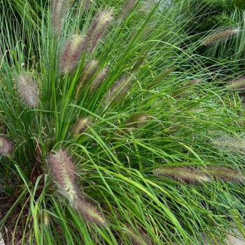 Продается 2-х комнатная квартира, 42,5 м²