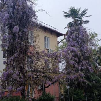 Продается 2-х комнатная квартира, 35,7 м²