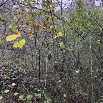 Продается Участок, 510 м²