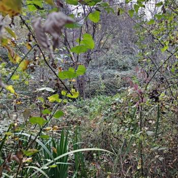 Продается Участок, 510 м²