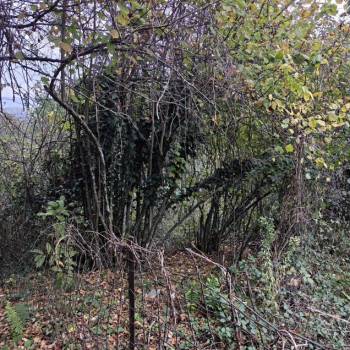 Продается Участок, 510 м²