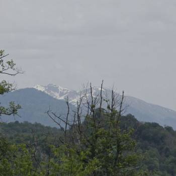 Продается Участок, 500 м²