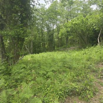 Продается Участок, 500 м²