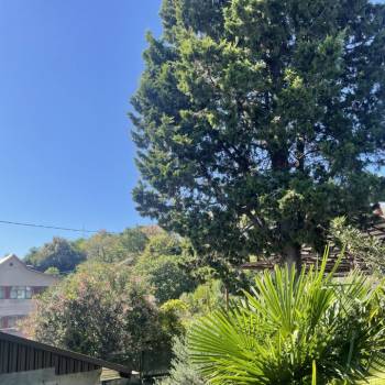 Сдается Комната, 50 м²