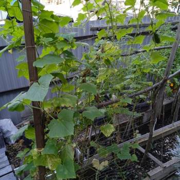 Продается 1-комнатная квартира, 145 м²