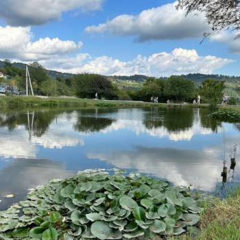 Продается Участок, 300 м²