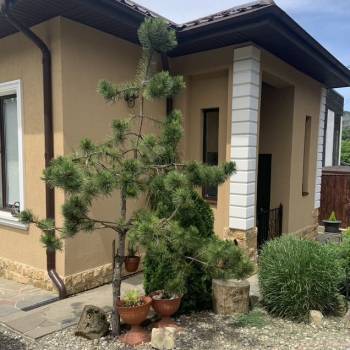 Продается Дом, 55 м²