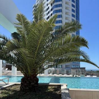 Сдается 2-х комнатная квартира, 55 м²