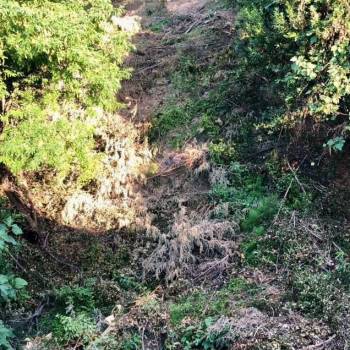 Продается Участок, 450 м²