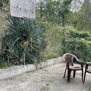 Сдается Комната, 25 м²