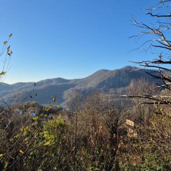 Продается Участок, 650 м²