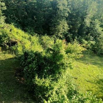 Продается Участок, 2500 м²