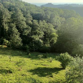 Продается Участок, 2500 м²