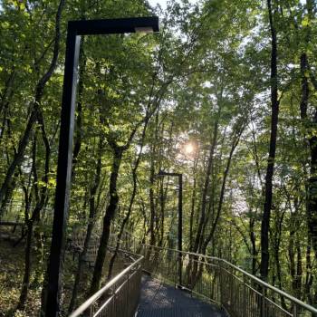 Сдается 1-комнатная квартира, 22,2 м²