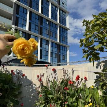 Сдается 1-комнатная квартира, 22,2 м²