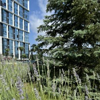 Сдается 1-комнатная квартира, 22,2 м²