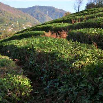 Продается Участок, 1500 м²