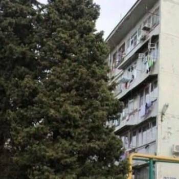 Сдается Комната, 15 м²