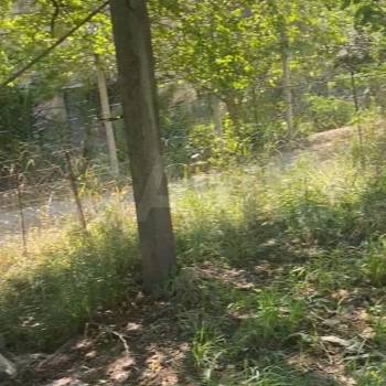 Продается Участок, 3500 м²