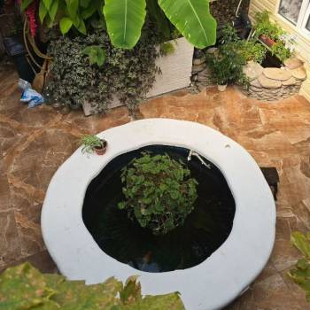 Сдается Комната, 12 м²