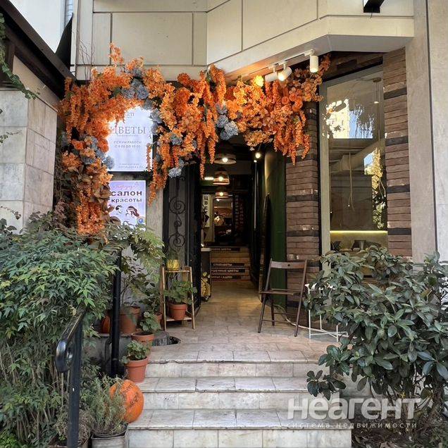 Фотография №5