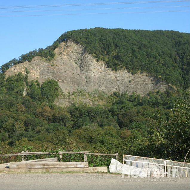 Фотография №4