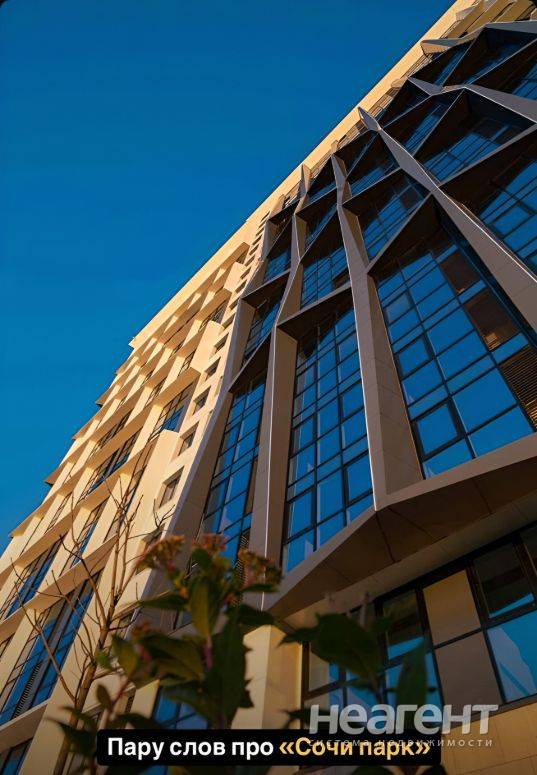 Фотография №2