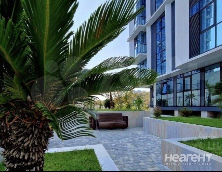 Фотография №3