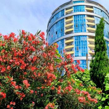 Сдается 2-х комнатная квартира, 52 м²