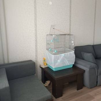 Продается 2-х комнатная квартира, 50,7 м²