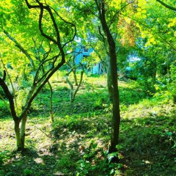 Продается Участок, 730 м²