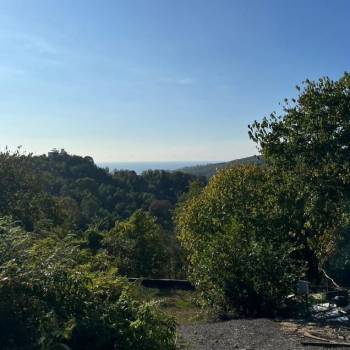 Продается Участок, 540 м²